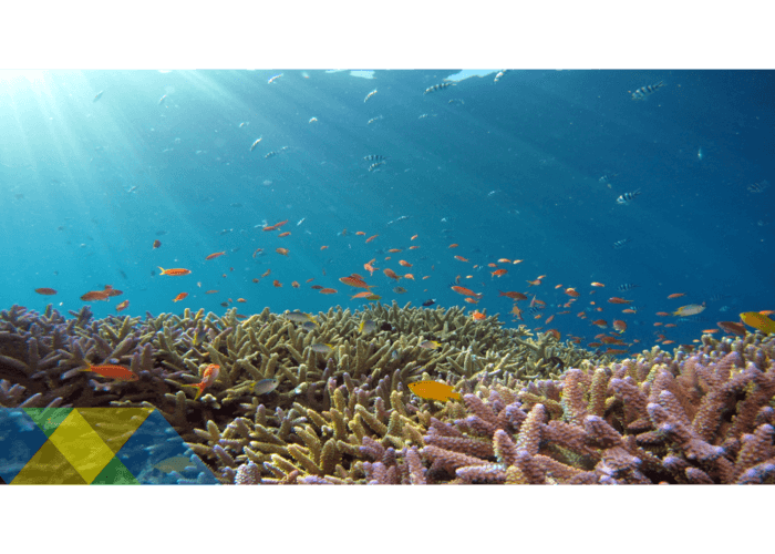 Scotland Blue Economy and Marine Energy